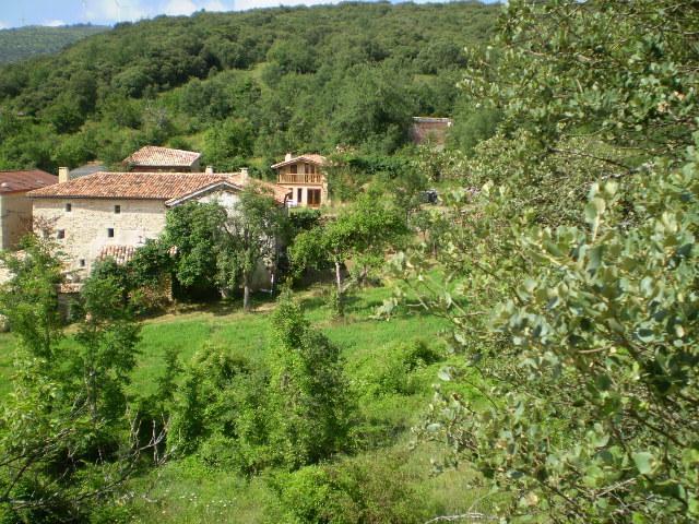 Manzanela * Nela